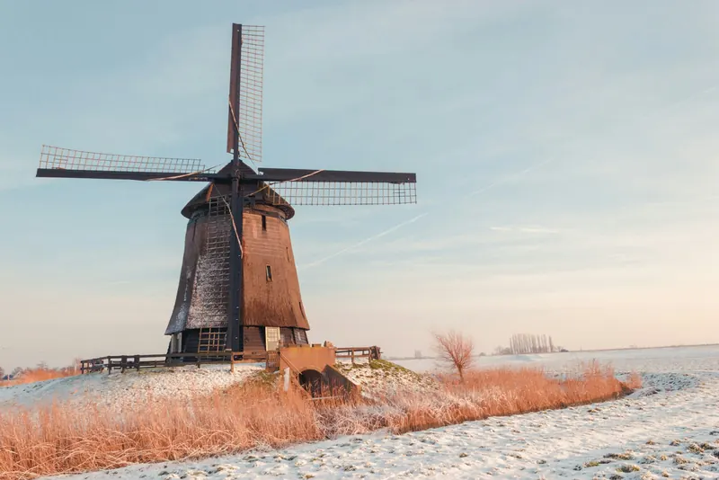 Een houten windmolen in een besneeuwd polderlandschap, met riet op de voorgrond en een zachte winterlucht.